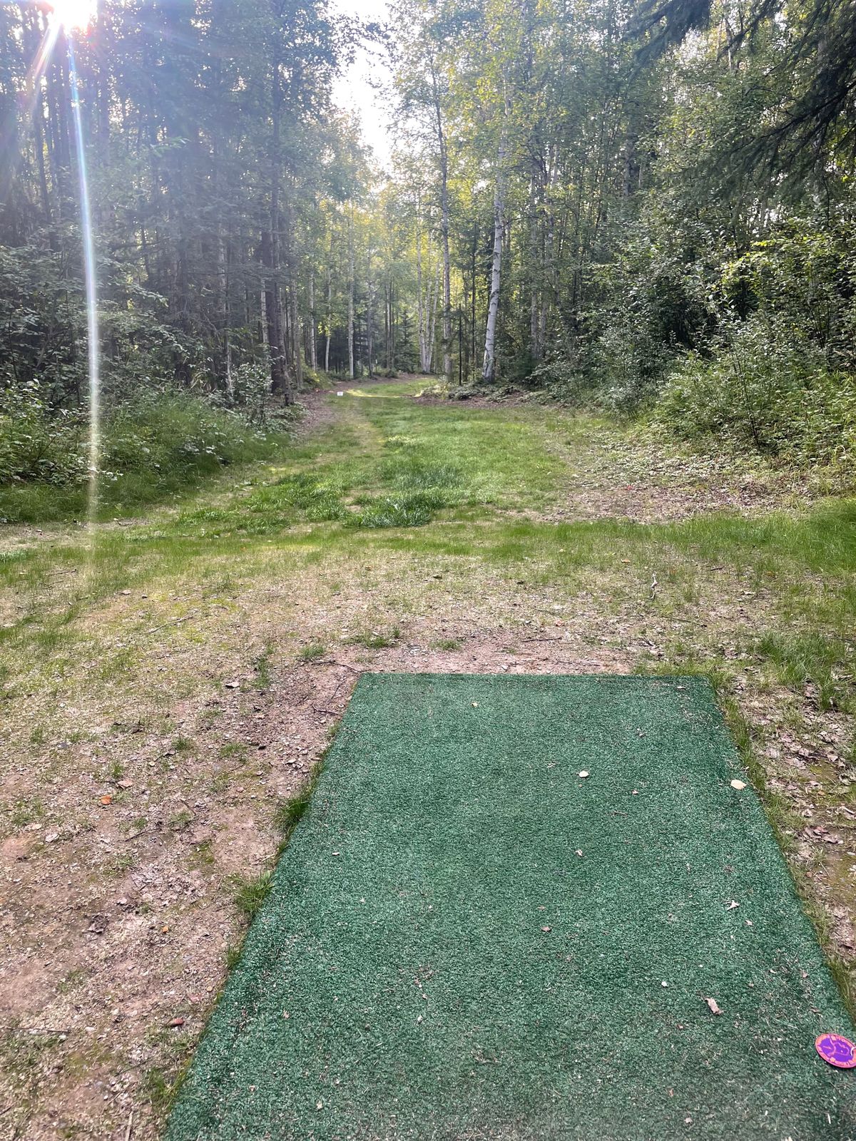 Hole 14 tee pad, basket tucked to the right at bottom of Hill