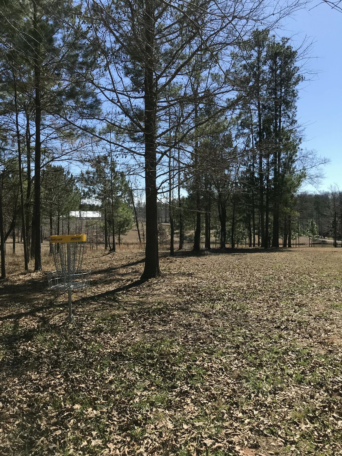 Hole 6 - basket to tee