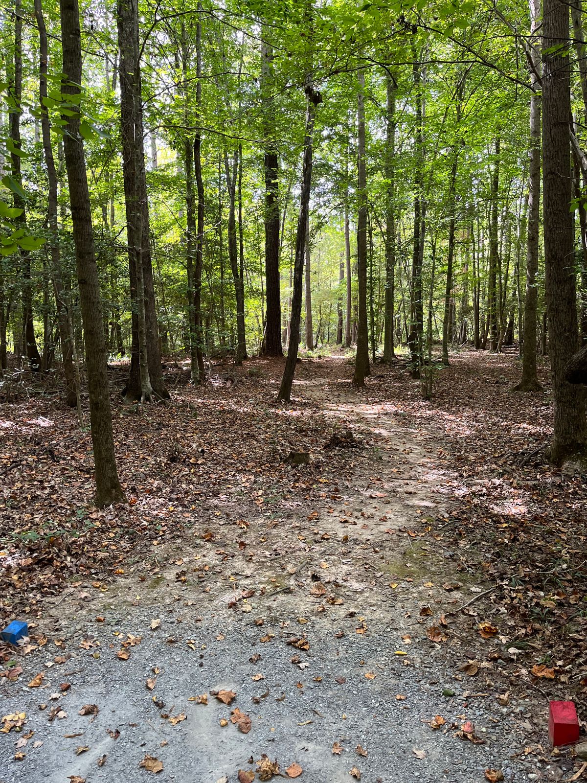 Hole 9: blue/red tee