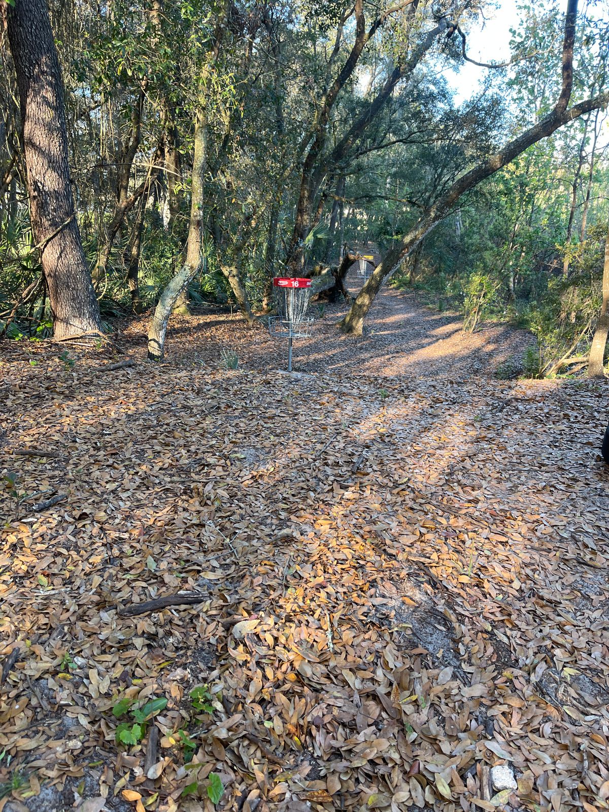 Hole 16