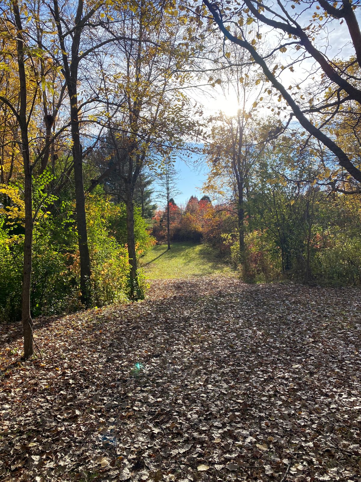 Hole 2 tee