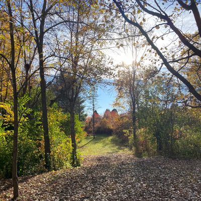 Hole 2 tee