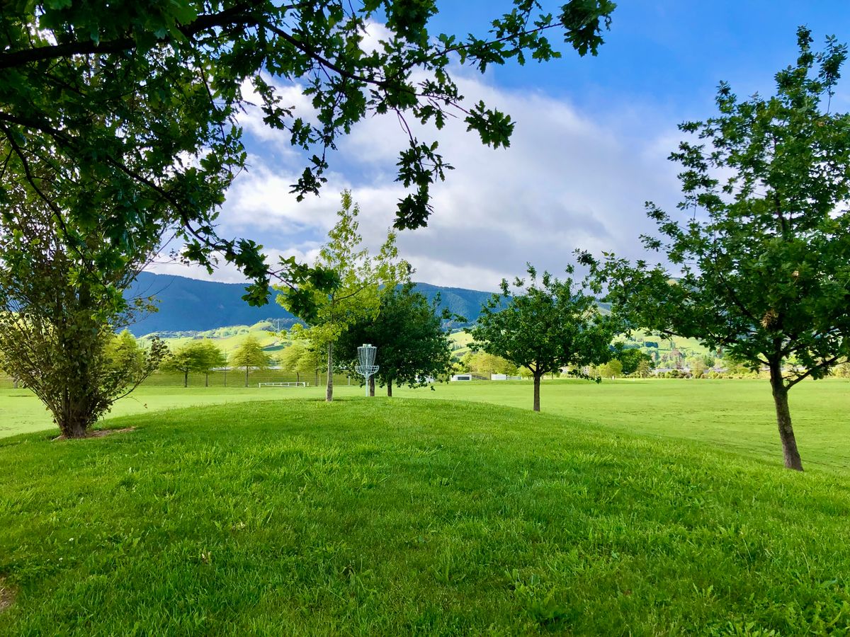 Hole 6 Green