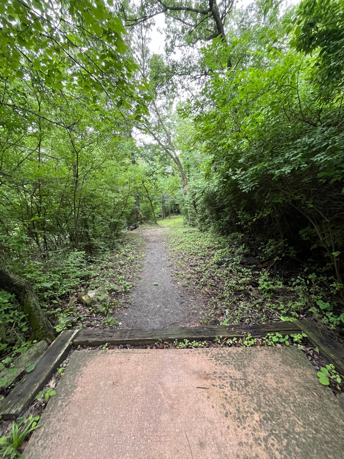 Hole #7