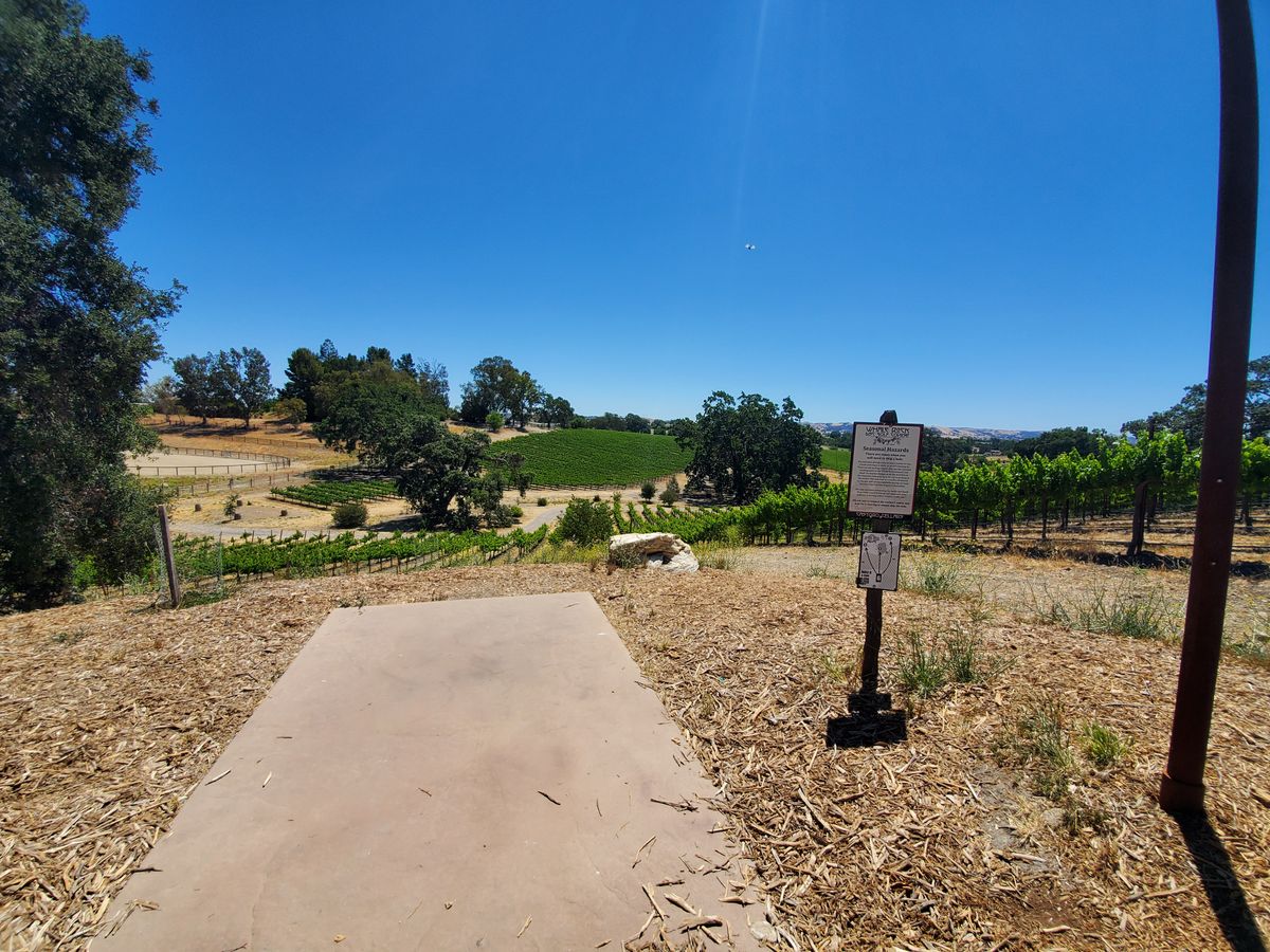 Beautiful view of the Vineyards!