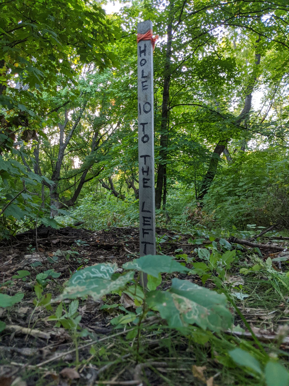 Helpful sign I made