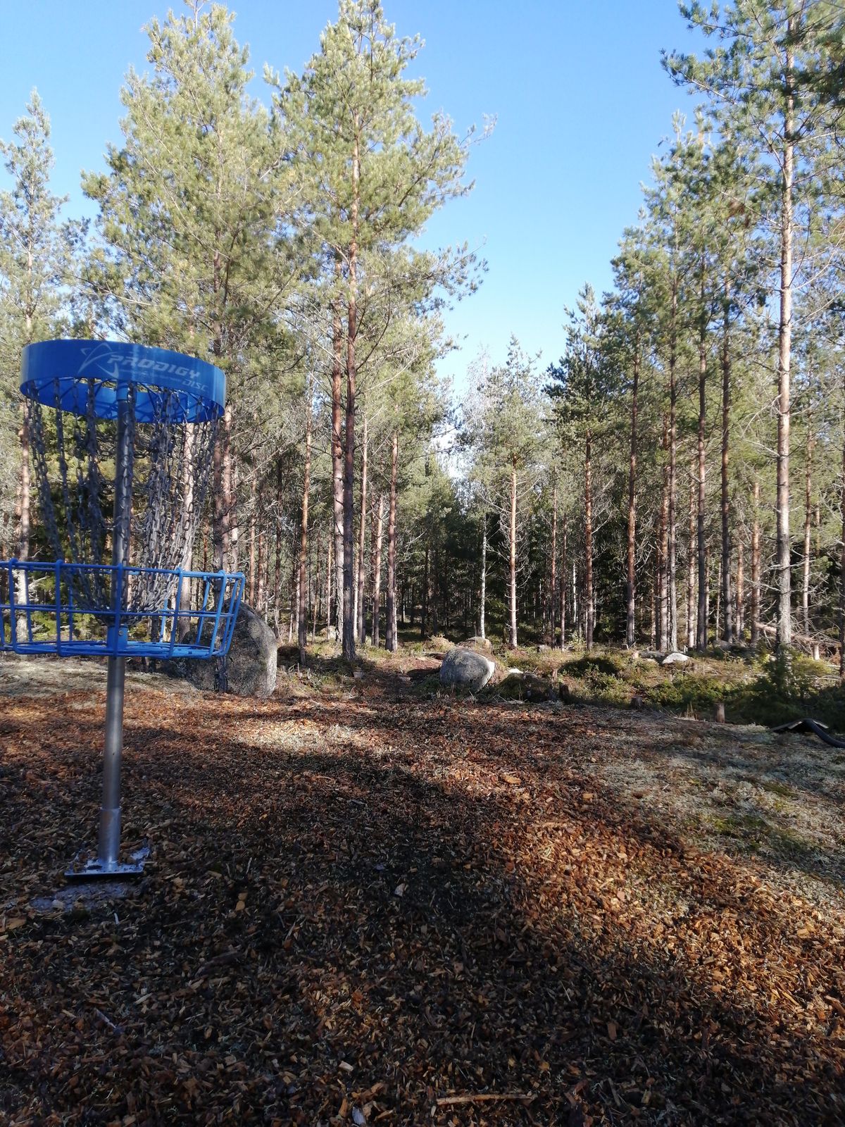 12.väylän kori