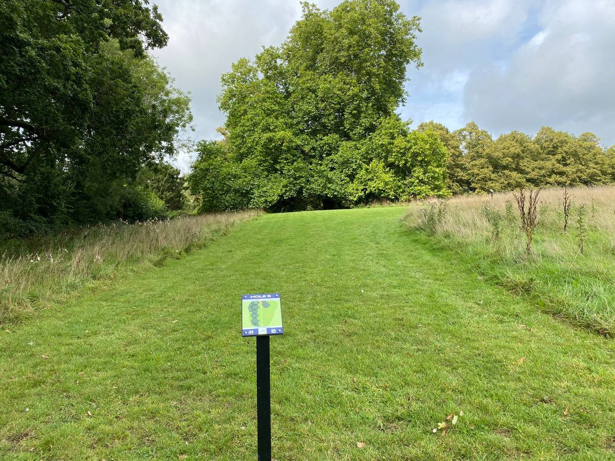Hole five long tee