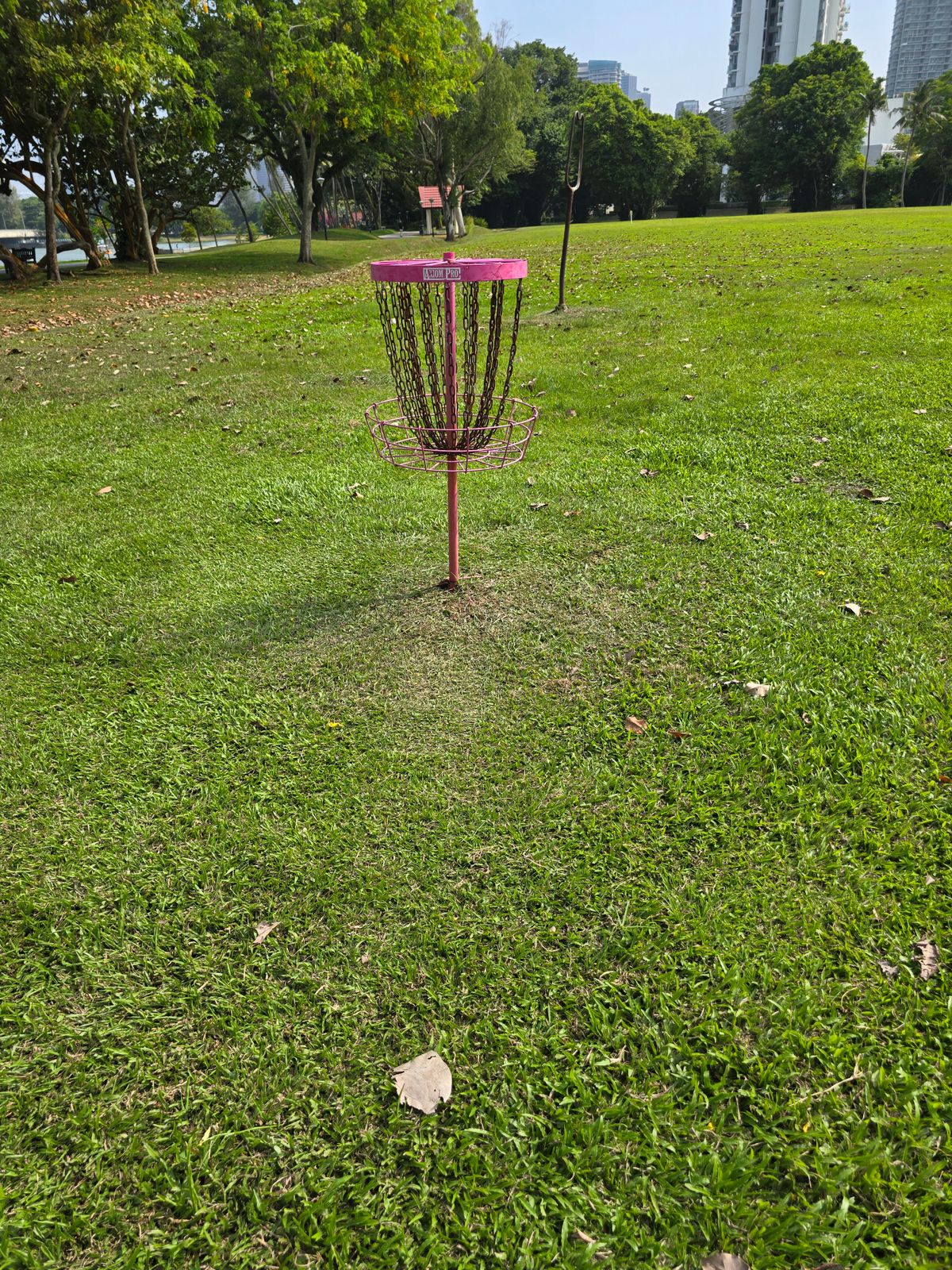 Baskets still strong in 2024