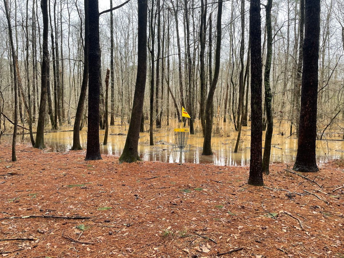 For about a day after rainstorms, the wetlands will rise up into play on holes 6, 7, 8, 9, and 10.