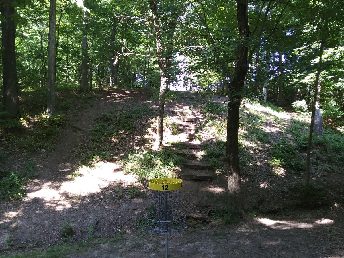#12 Looking from the target up the hill toward the tee pad.