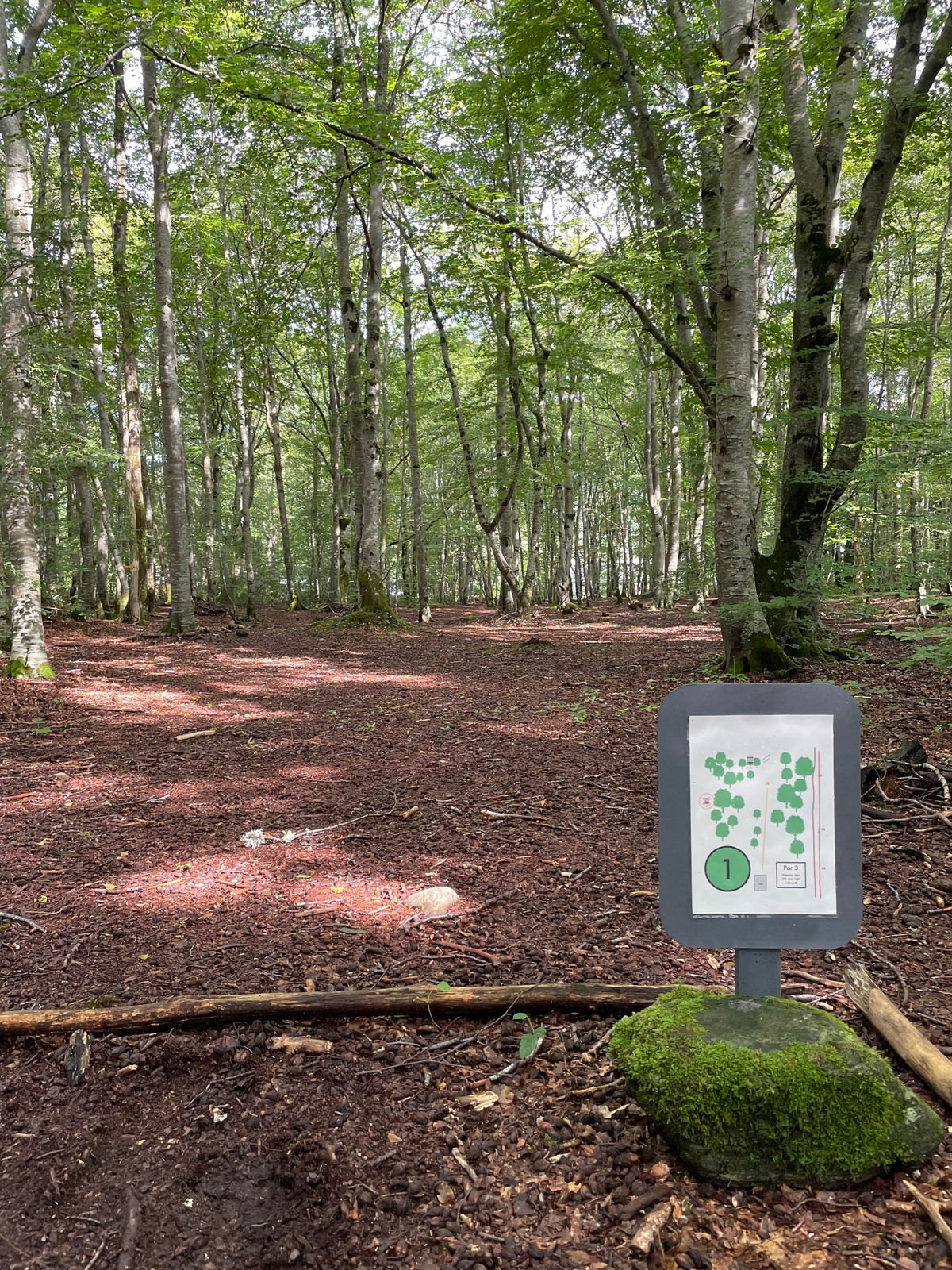 Hole 1