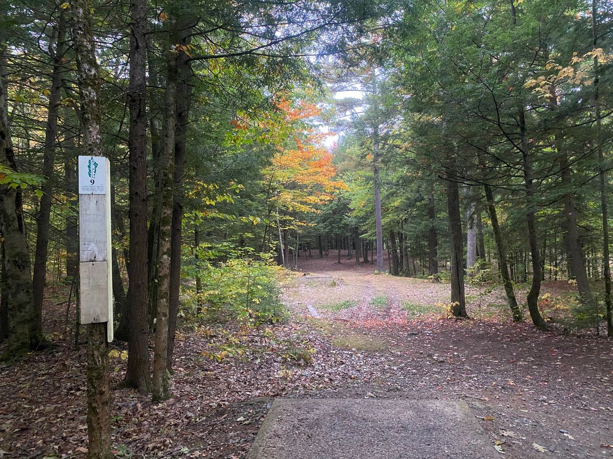 Teebox 9