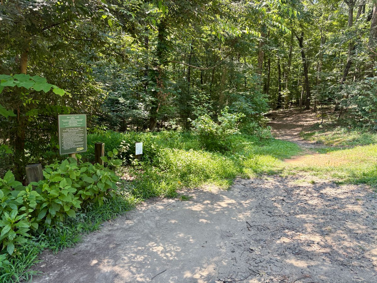 Hole 1 tee