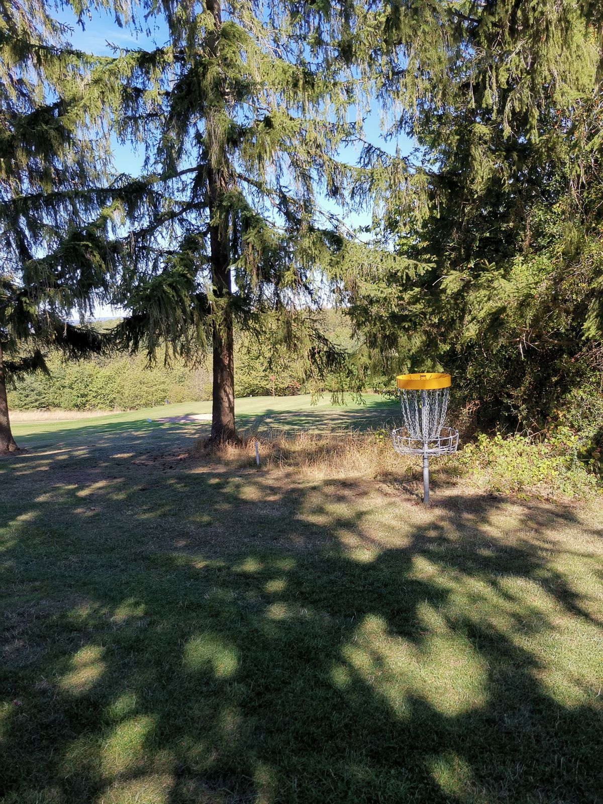 Basket of hole 7