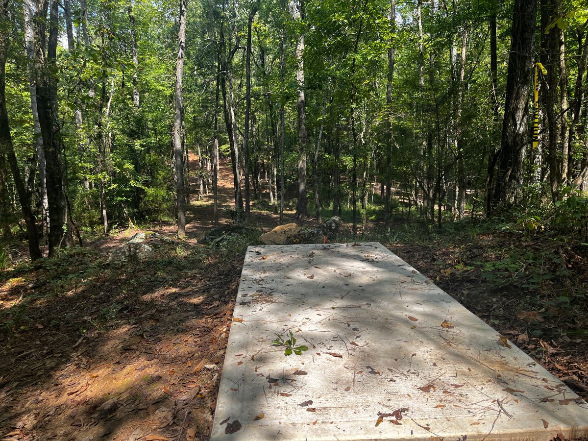 Hole 5 tee box
