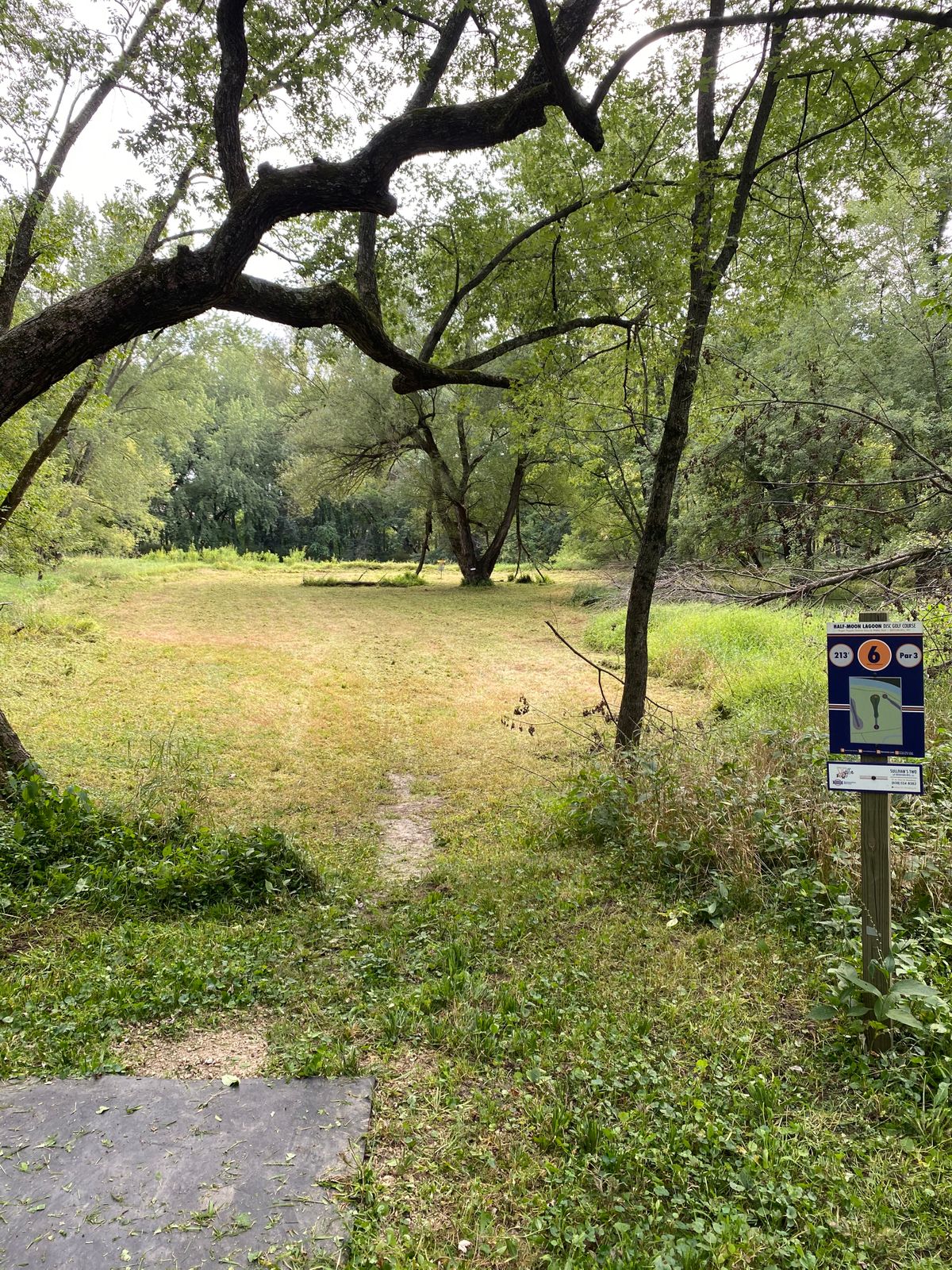 Tee 6