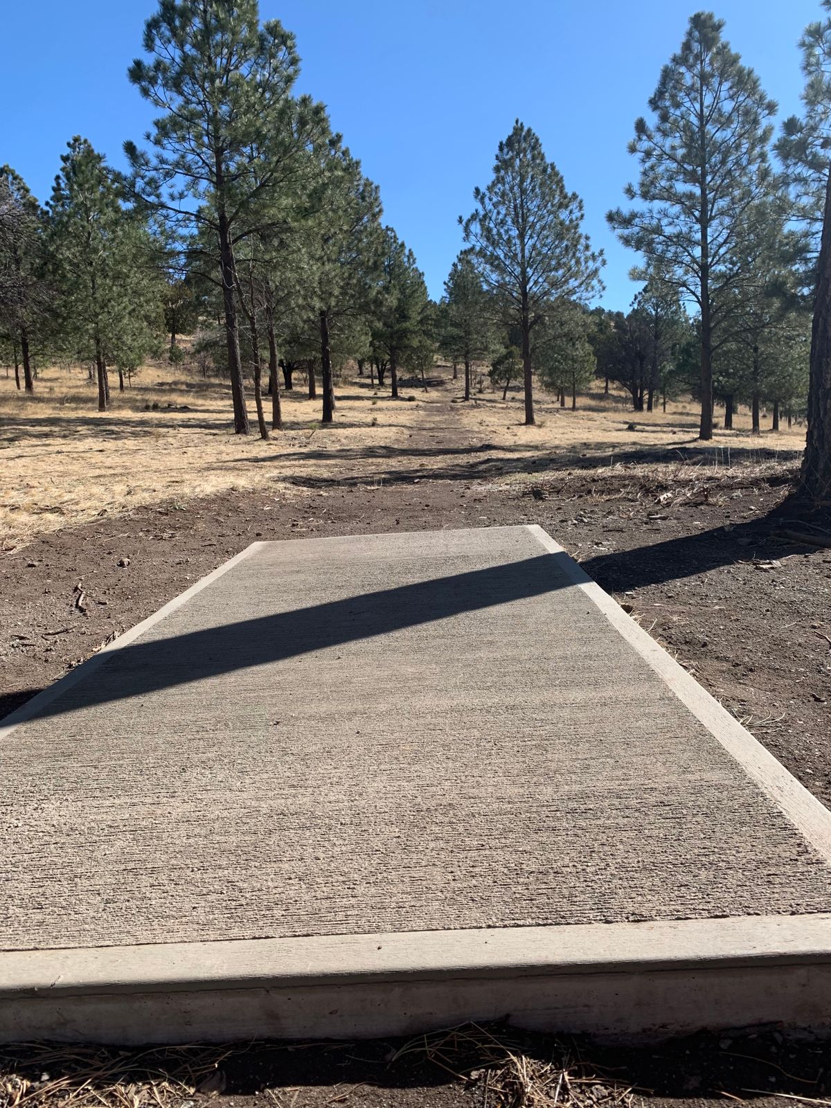 Hole 1 teepad