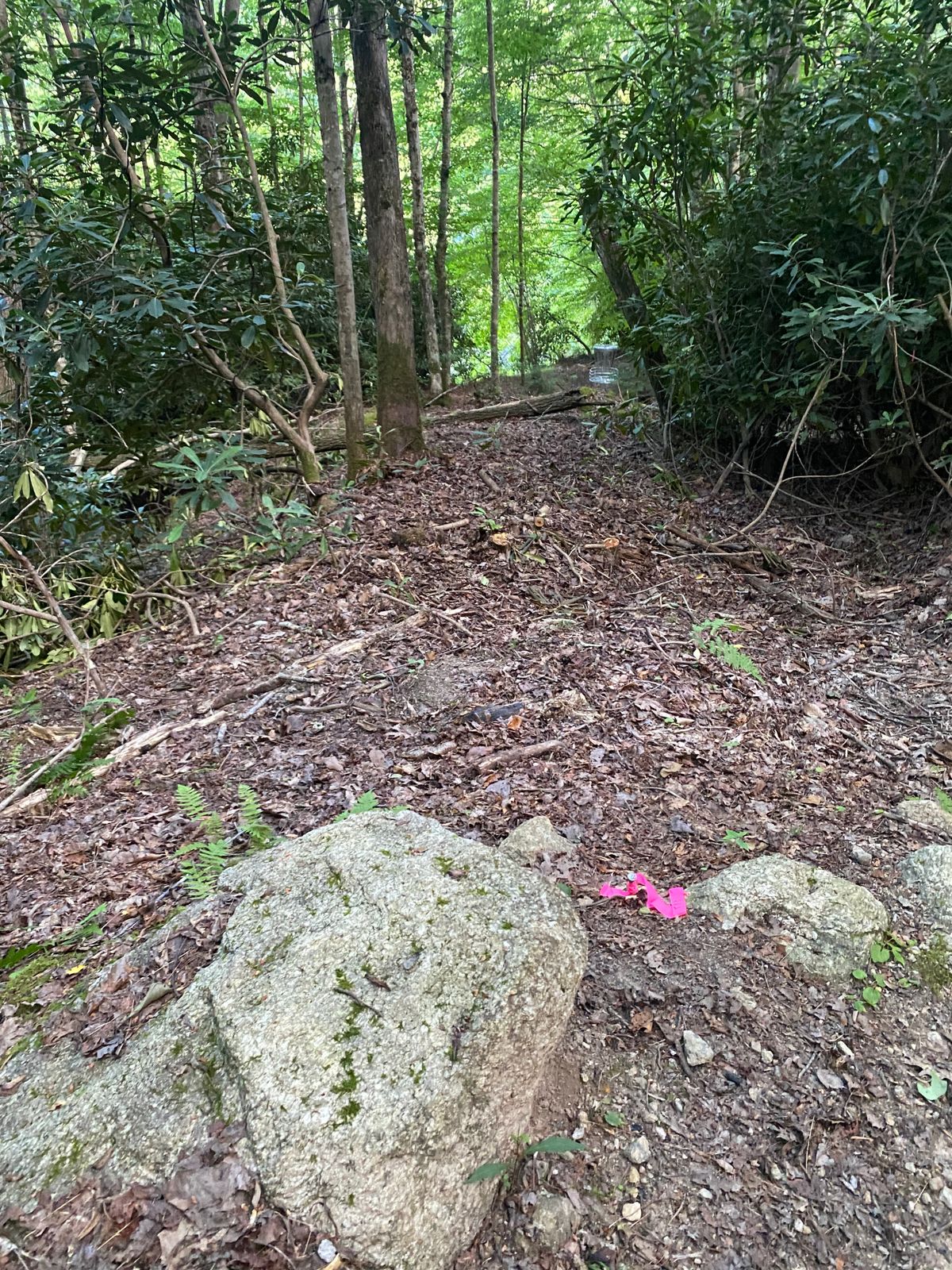 Tee 13