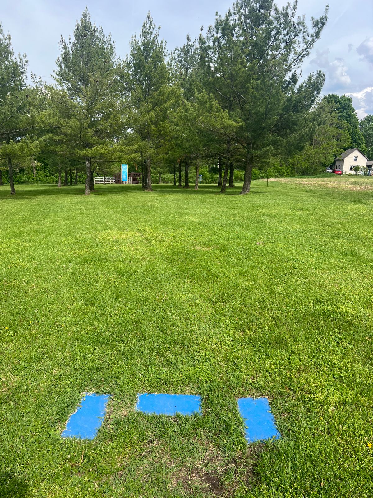Hole 3 Tee Pad - I like to play long grass on the right as OB, to make the hole even tougher