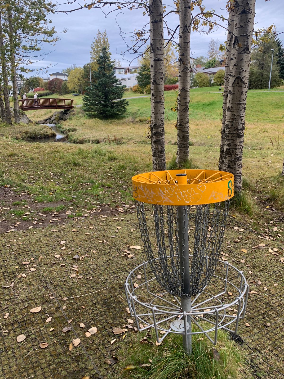 Hole 5 and 8