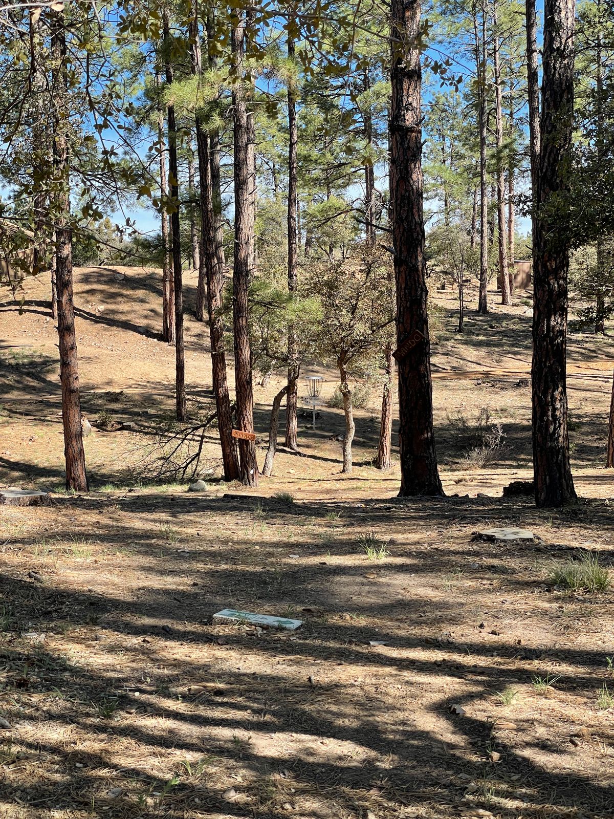 Hole 17 double mando