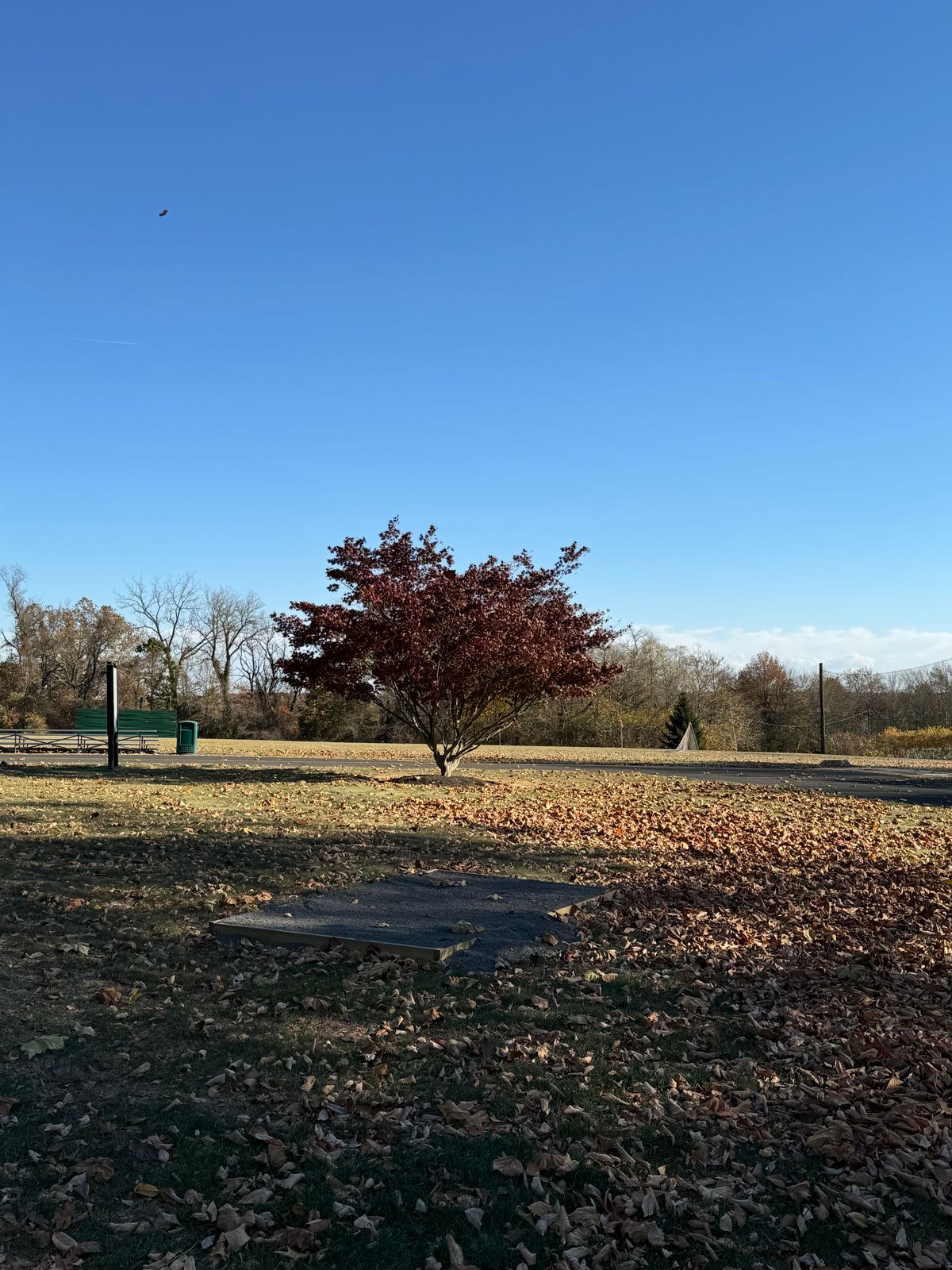 Hole 4 Teebox