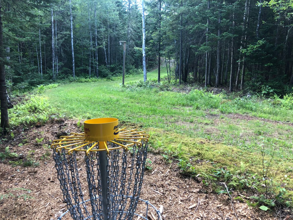 Hole #14 Basket