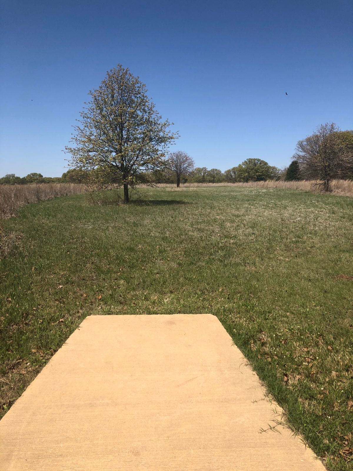 Hole 7 north short tee