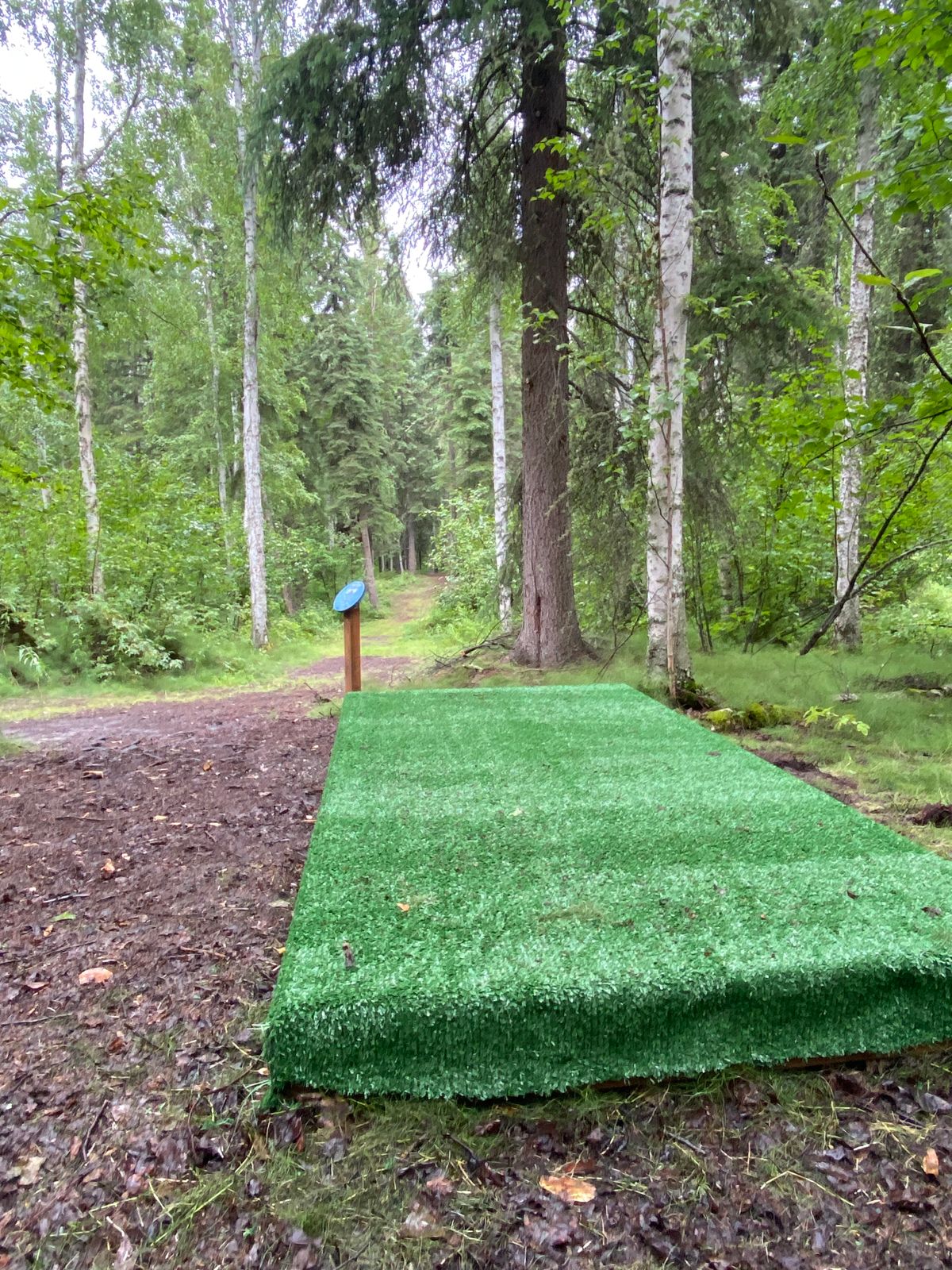 Hole 2 tee pad, basket down centerline or trail