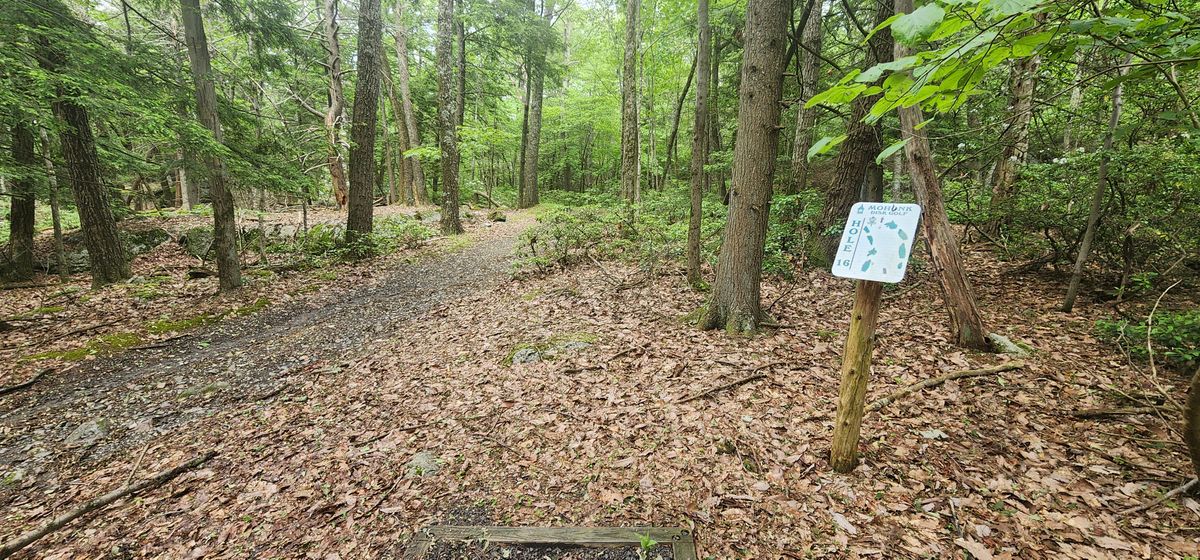 Hole 16