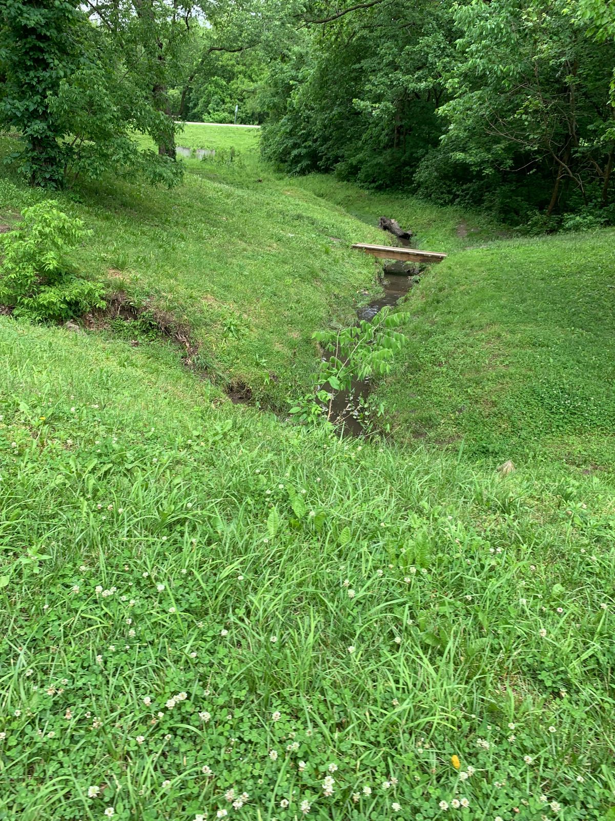 Bridge and stream on hole 7