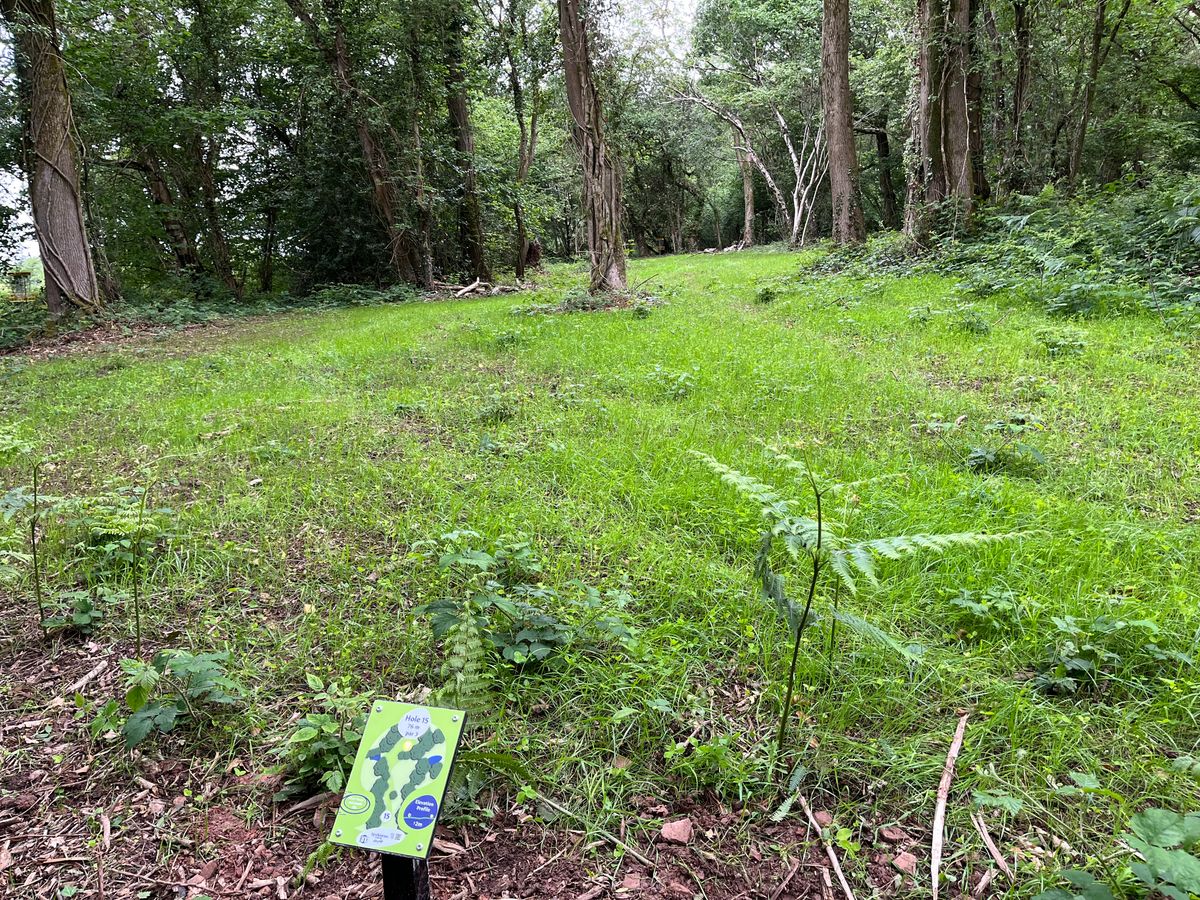 Hole 15 white tee