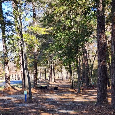 Hole 1