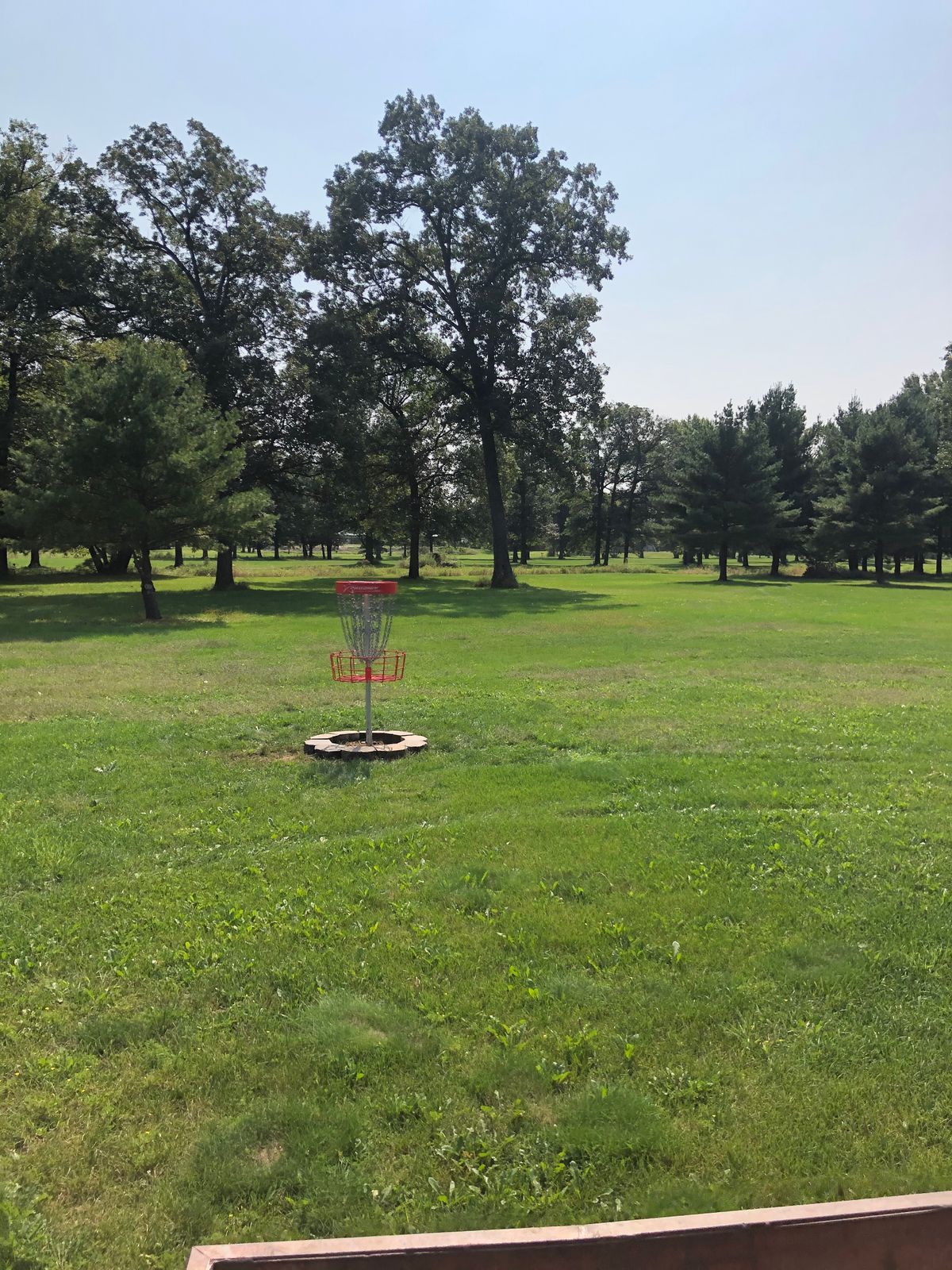 #6 basket green