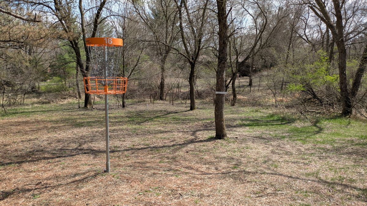 Basket 16