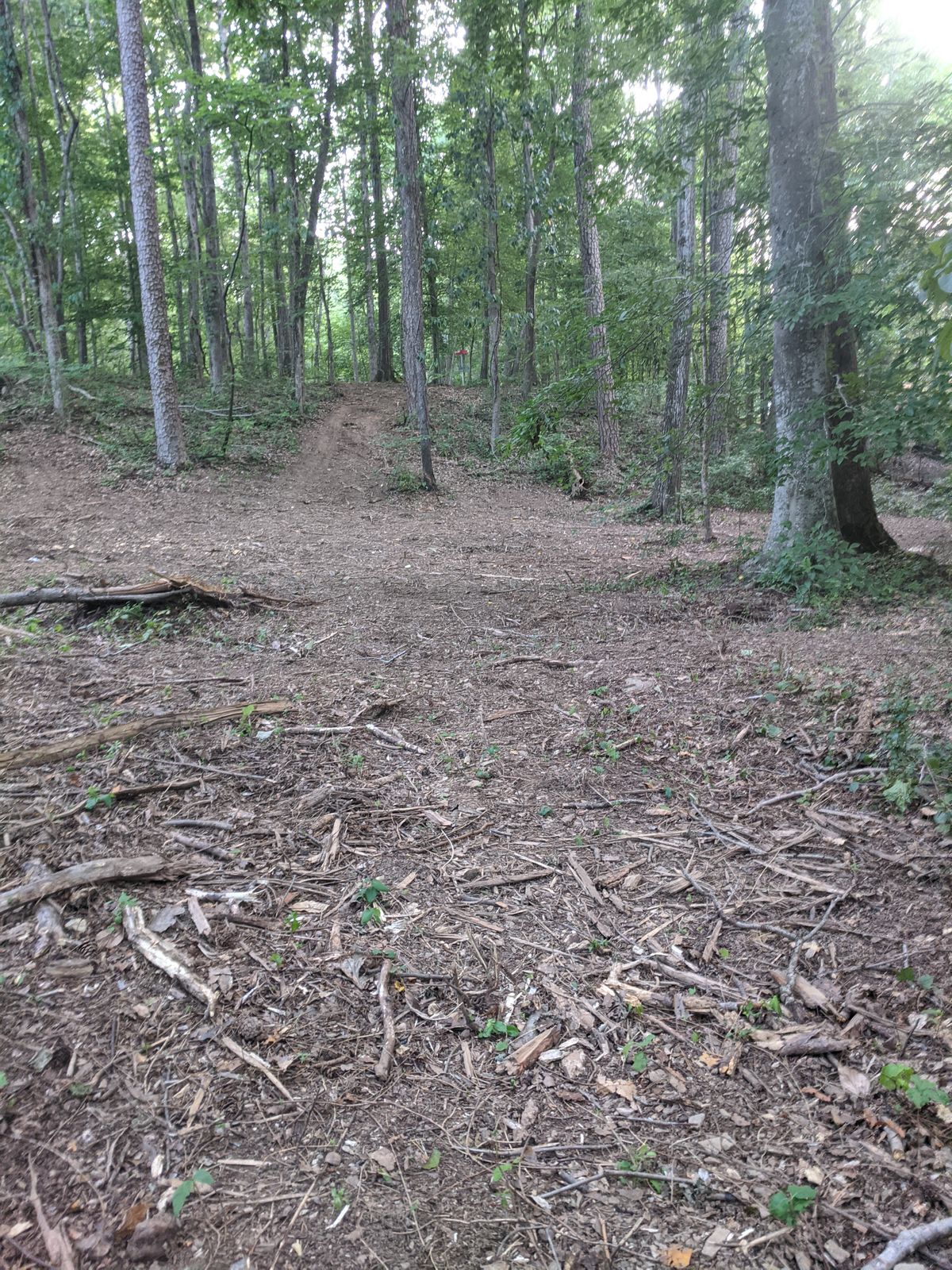 #12 from the Tee, steep up to the basket