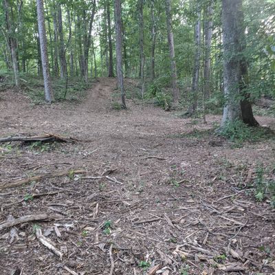 #12 from the Tee, steep up to the basket