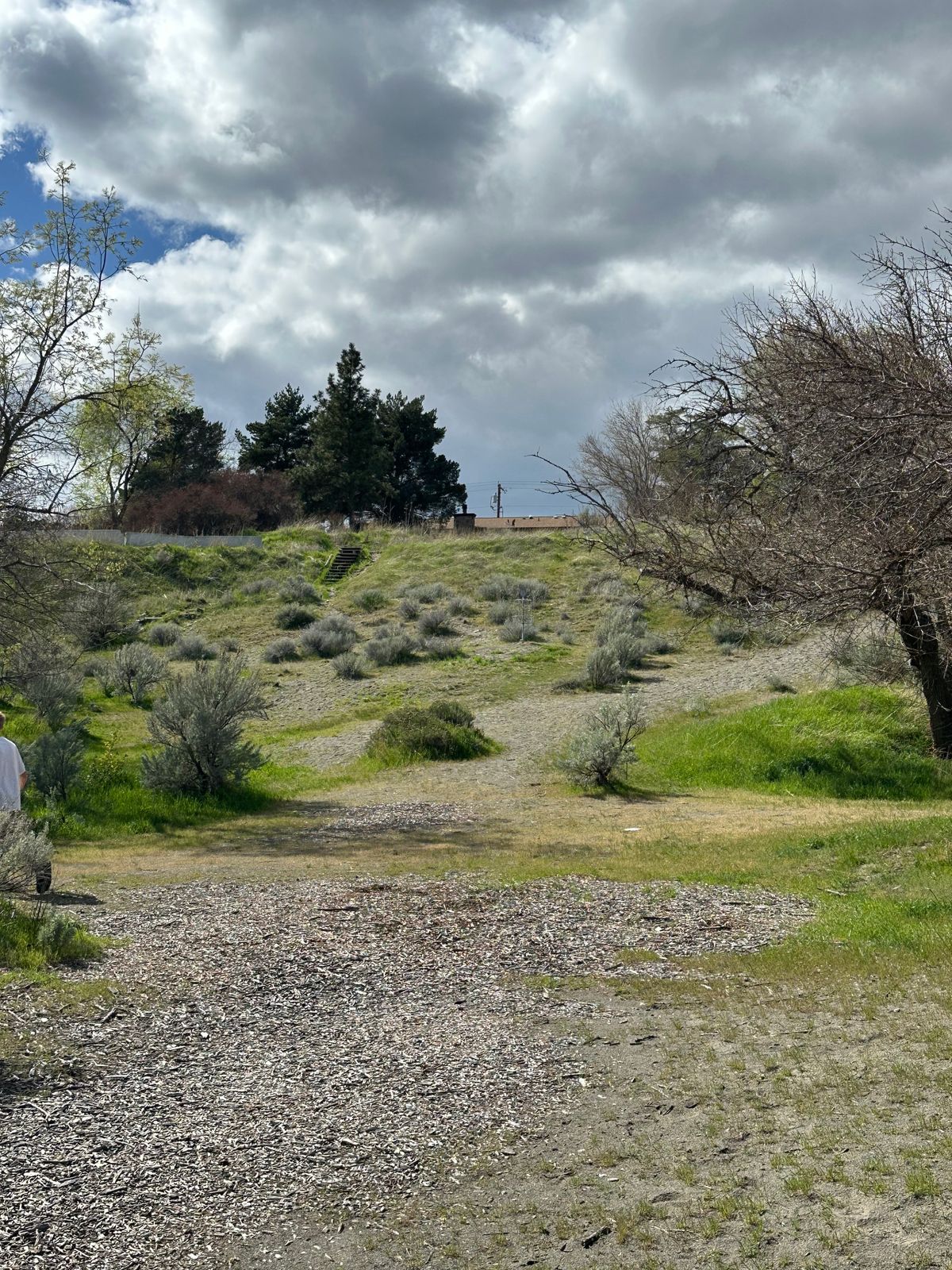 Hole 10 basket from mid-fairway