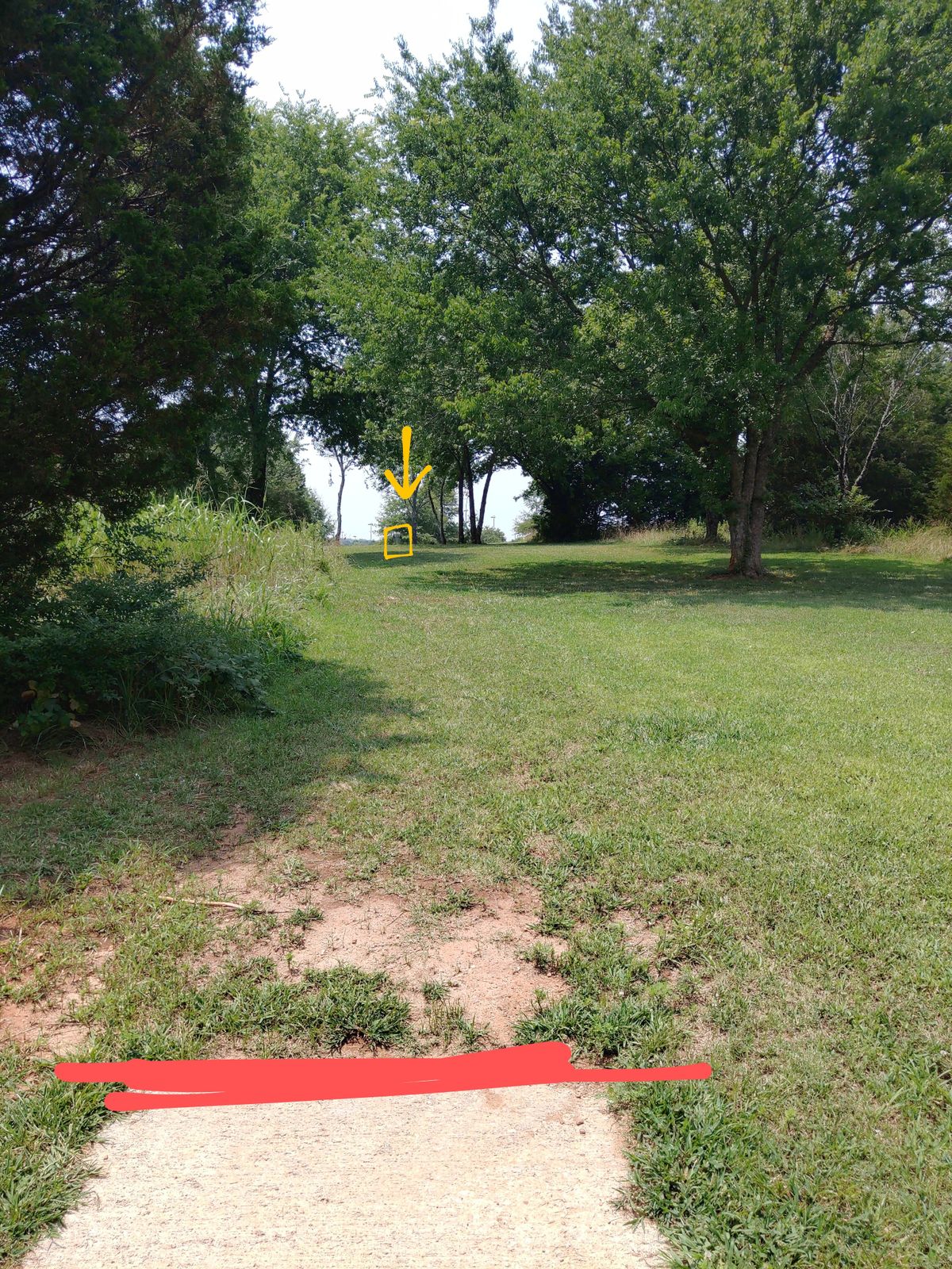 View from short tee box.