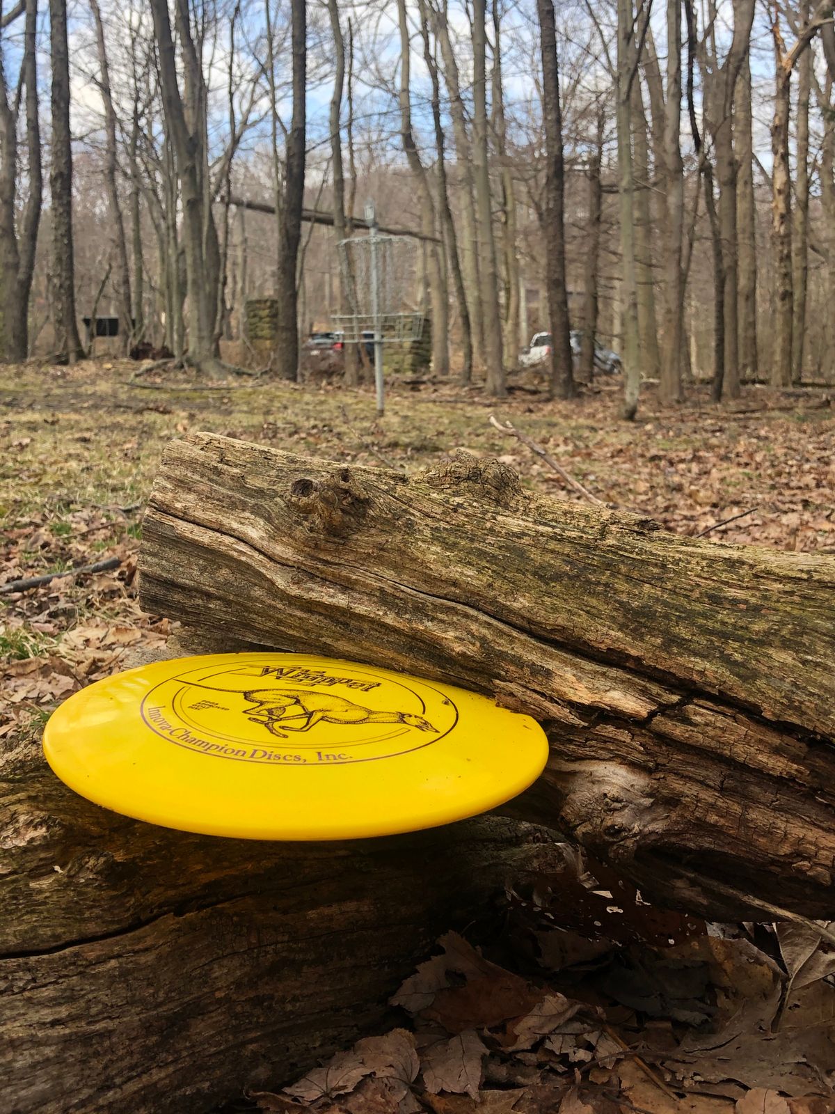 Hole #17