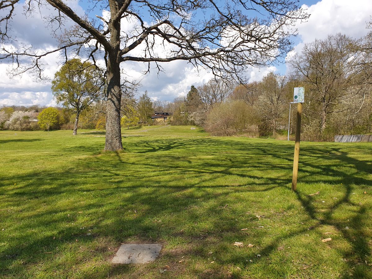 Hole 1 tee