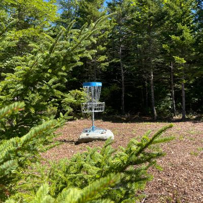Hole 10 basket