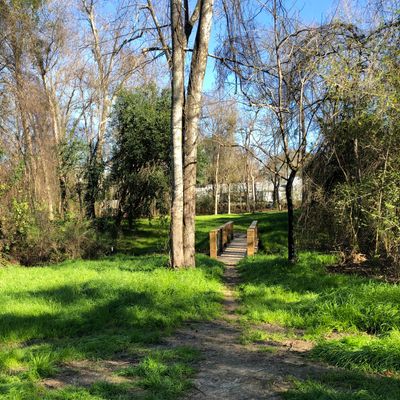 Hole 12