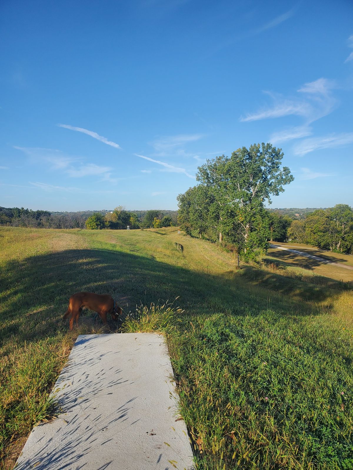 Hole 4