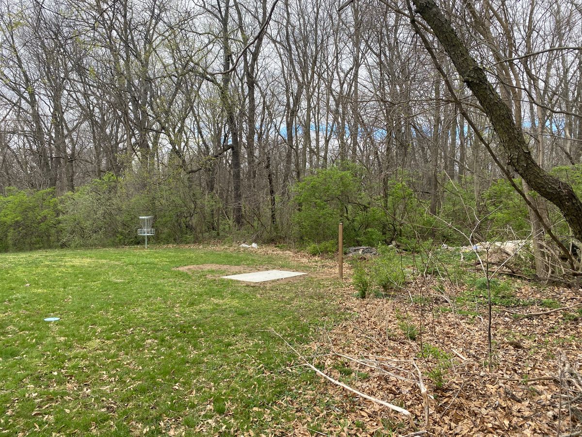 Hole 3 Basket and Hole 4 Tee Pad