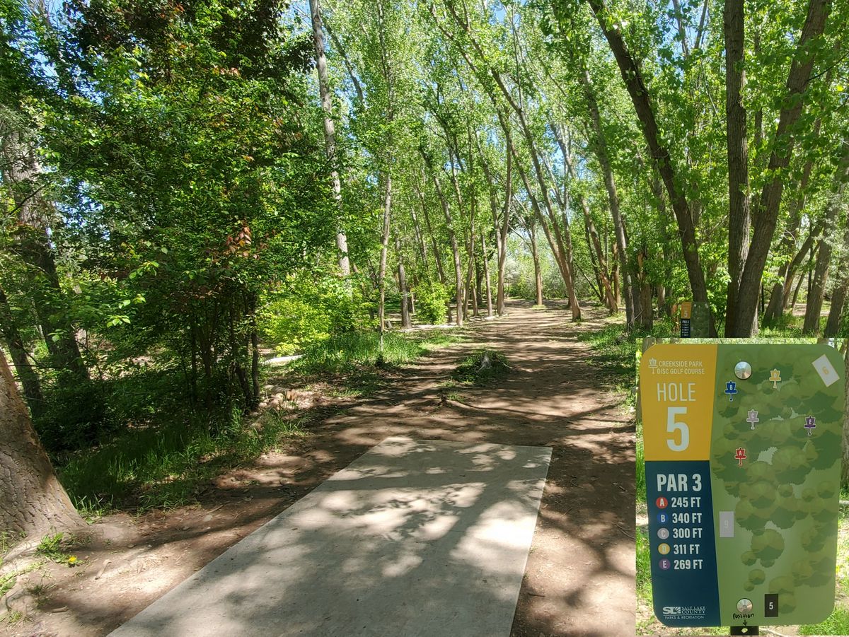 Hole 5