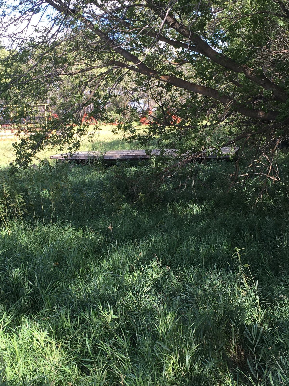 Wooden is the next Tee pad and you must throw on top.