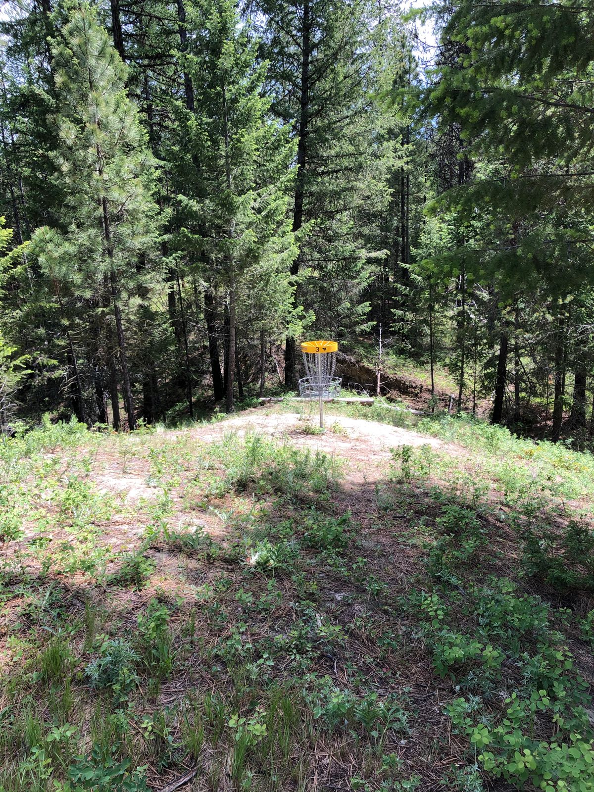 Old hole 3 Par 3 prior to 2023