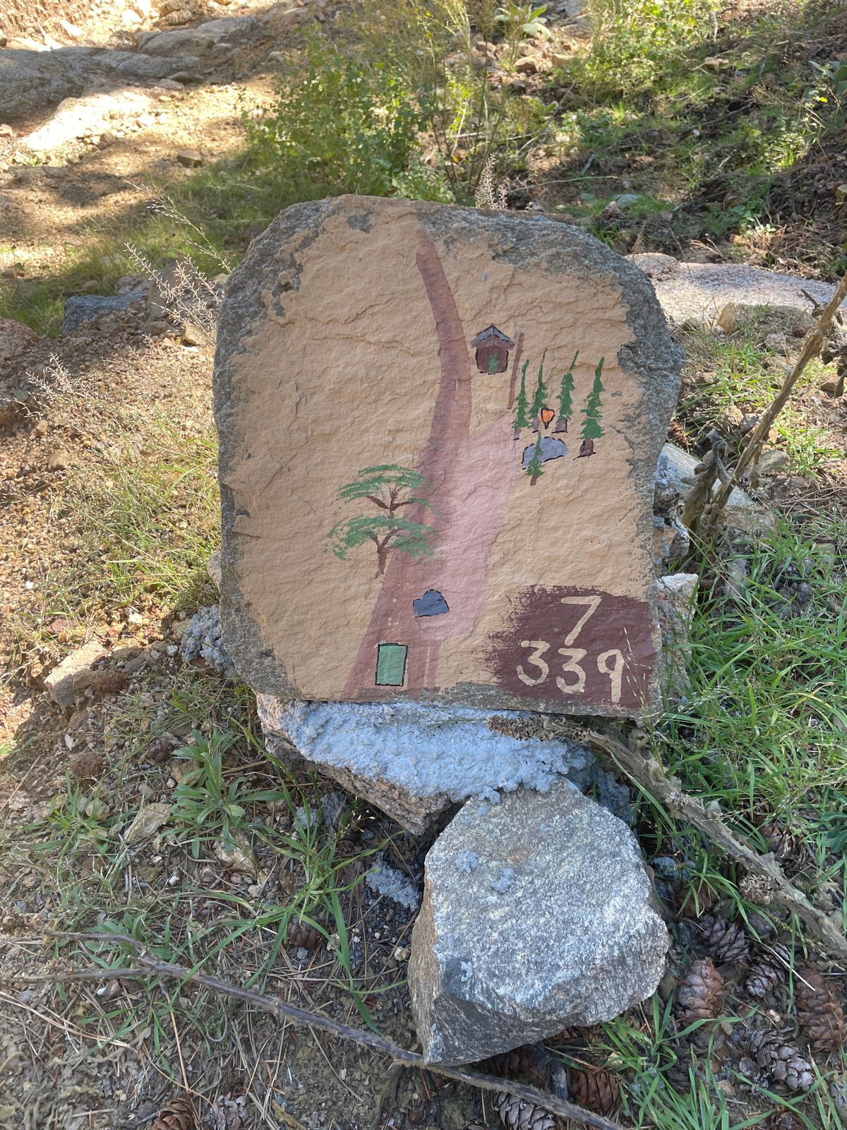 Hole 7